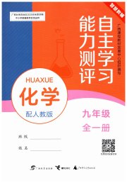 自主学习能力测评九年级化学人教版