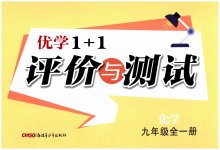 2025年優(yōu)學(xué)1+1評(píng)價(jià)與測(cè)試九年級(jí)化學(xué)全一冊(cè)人教版