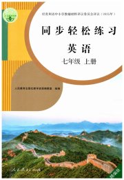 同步轻松练习七年级英语人教版精编版