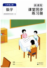 新课程课堂同步练习册九年级数学人教版