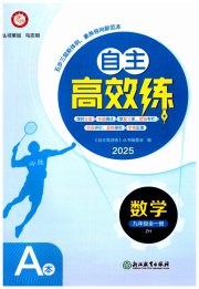 自主高效练九年级数学浙教版