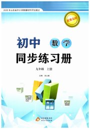 同步练习册北京教育出版社九年级数学青岛版