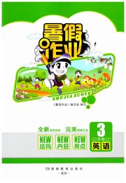 暑假作业完美假期生活湖南教育出版社三年级英语