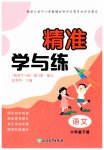 2026年精准学与练六年级语文下册人教版