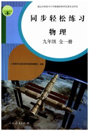 同步轻松练习九年级物理人教版