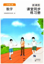 新课程课堂同步练习册八年级数学人教版