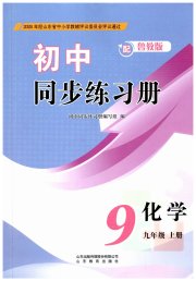同步练习册山东教育出版社九年级化学鲁教版