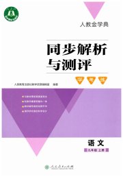同步解析与测评学考练九年级语文人教版
