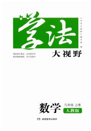 学法大视野九年级数学人教版