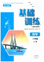基础训练八年级数学人教版河南专版大象出版社