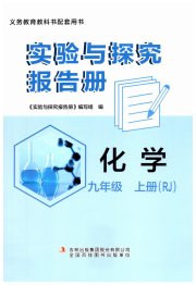 实验与探究报告册九年级化学人教版