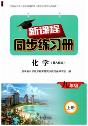 新课程同步练习册九年级化学人教版