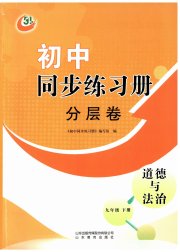 同步练习册分层拓展九年级道德与法治人教版五四制