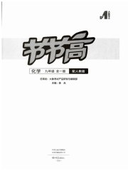 节节高大象出版社九年级化学人教版