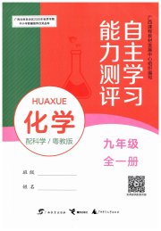 自主学习能力测评九年级化学科粤版