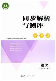 同步解析与测评学考练三年级语文人教版