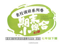 2023年名校调研系列卷期末小综合七年级下册人教版