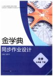 2026年金学典同步作业设计九年级化学下册人教版