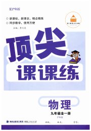 顶尖课课练九年级物理沪科版