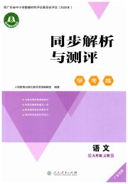 同步解析与测评学考练九年级语文人教版广东专版