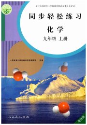 同步轻松练习九年级化学人教版