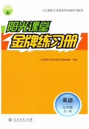 阳光课堂金牌练习册九年级英语人教版