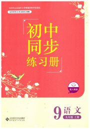 同步练习册九年级语文人教版北京师范大学出版社
