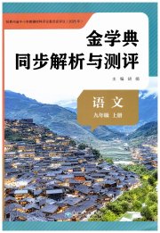 金学典同步解析与测评贵州人民出版社九年级语文人教版