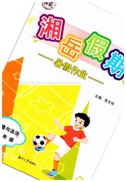 湘岳假期暑假作业八年级道德与法治人教版