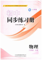 同步练习册山东科学技术出版社八年级物理人教版