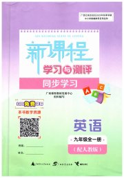 新课程学习与测评同步学习九年级英语人教版