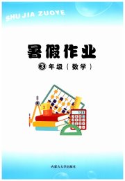 暑假作业内蒙古大学出版社三年级数学通用版