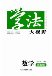 学法大视野九年级数学湘教版