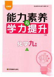 能力素养与学力提升九年级化学人教版
