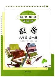 智慧学习九年级数学人教版