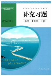 补充习题七年级数学人教版人民教育出版社