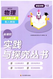 新课程实践与探究丛书八年级物理人教版