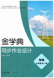 金学典同步作业设计九年级物理人教版