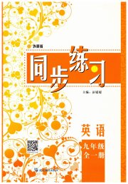 同步练习延边教育出版社九年级英语外研版