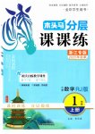 2025年木头马分层课课练小学数学一年级上册人教版浙江专版