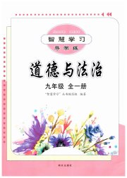 智慧学习九年级道德与法治人教版