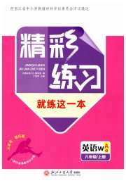 精彩练习就练这一本八年级英语外研版评议教辅