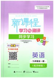 新课程学习与测评同步学习九年级英语译林版