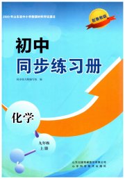 同步练习册山东科学技术出版社九年级化学鲁教版