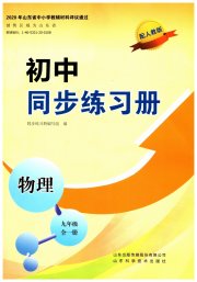 同步练习册山东科学技术出版社九年级物理人教版