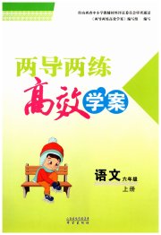 新课标两导两练高效学案六年级语文人教版
