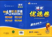 2025年金優(yōu)教輔培優(yōu)優(yōu)選卷八年級數(shù)學(xué)上冊人教版