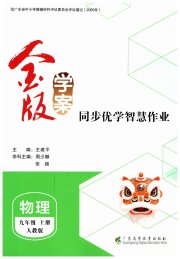 金版学案同步优学智慧作业九年级物理人教版