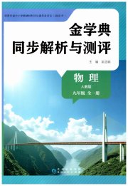 金学典同步解析与测评贵州人民出版社九年级物理人教版