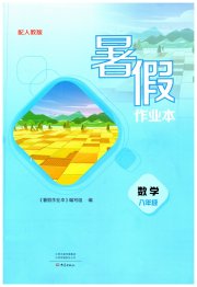 暑假作业本大象出版社八年级数学人教版